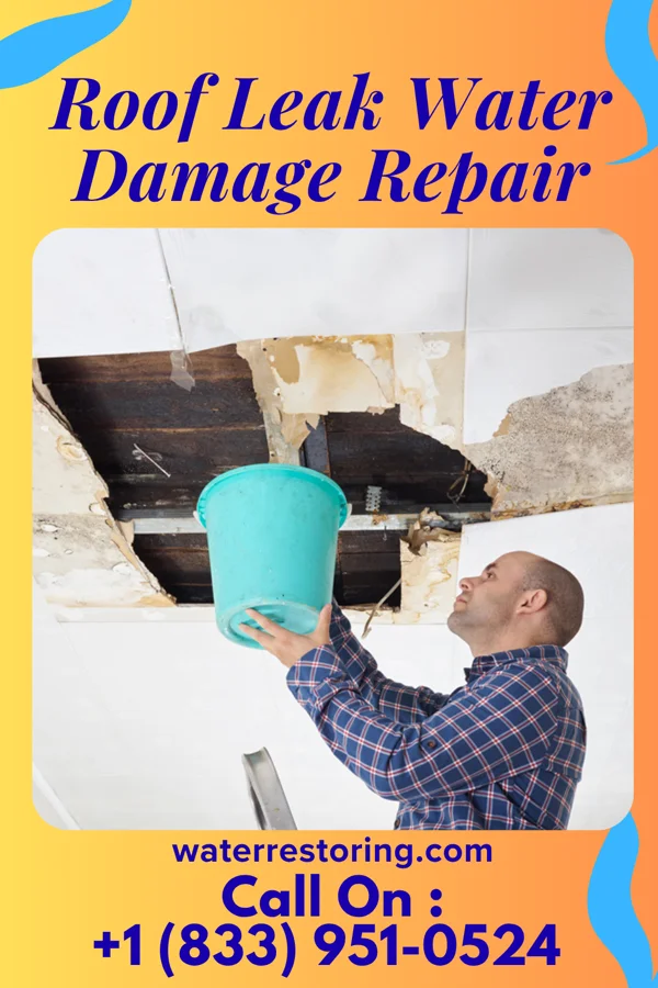 Roof Leak Water Damage Repair in Liverpool, TX