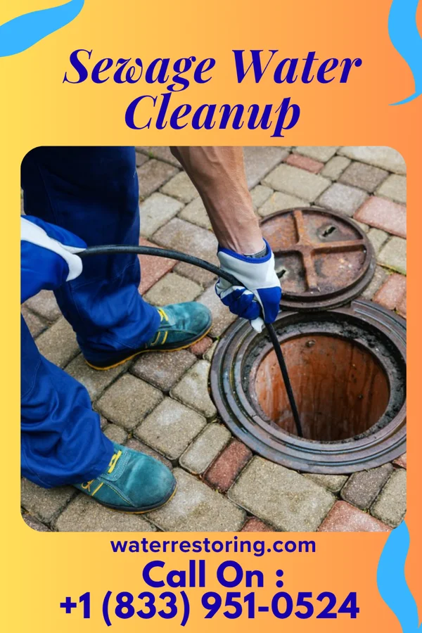 Sewage Water Cleanup in Liverpool, TX